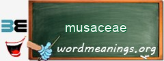 WordMeaning blackboard for musaceae